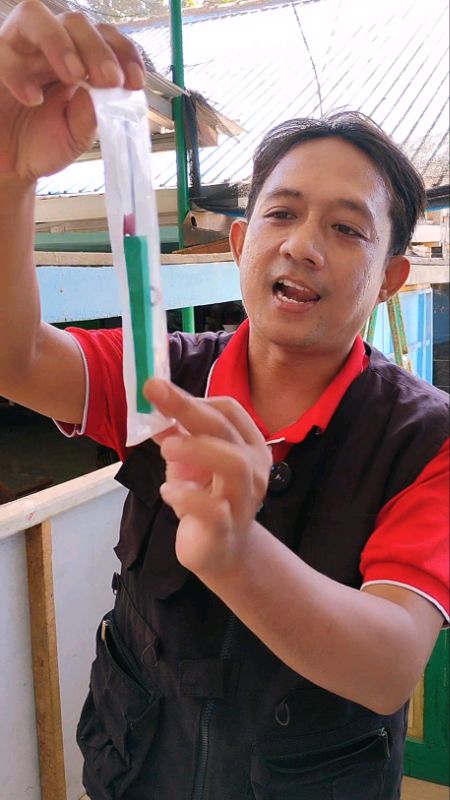 alat pembuka karet tabung gas #alatbukasealgas #alatcabutkaretgas #alatbukakaretgas #shopeevideo #ShoopeCod #GratisOngkirRP0