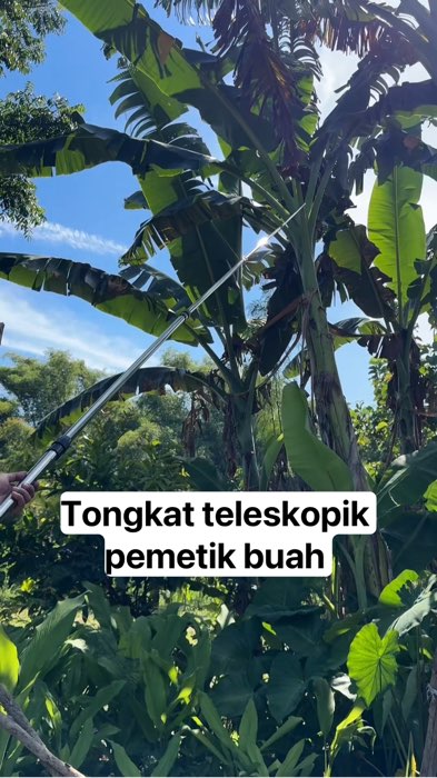#Cashback40Persen #RacunShopee #ViralDiShopeeVideo #PromoNonStop #ShopeeVideoCreator #TermurahDiShopee #GratisOngkirRP0 #ShopeeCOD #Diskon50Persen