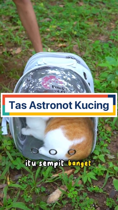 ￼Tas Astronot Kucing#RacunShopee#GratisOngkirRP0#ViralDiShopeeVideo#shopeevideo#fyp#viral#ShopeeLook#ShopeeCOD#RacunShopee#shopeevideo