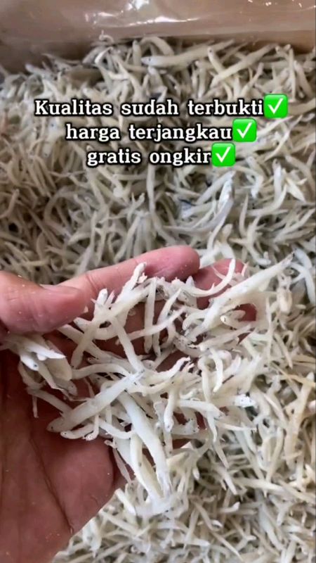 #terimedan #terimedansuper #terimedanpremium #terimedanmurah #terinasi #terinasimedan #terinasiasin #ikanasinviral #ViralDiShopeeVideo #fyp #fypシ