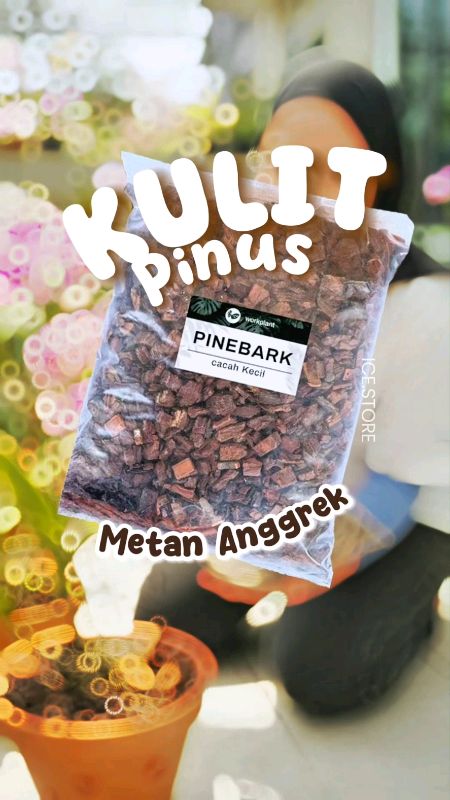 Pine bark cacahan kulit pinus steril siap pakai cocok untuk anggrek full sun full rain #pinebark #kulitpinuscacah #mediaanggrek