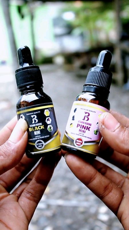 Black pink mini dari Umi Kasum - Herbal Alami Burung  #blackPink #blackpinkmini #umikasum #herbal #vitaminherbal #vitaminburung #Terlaris #Terbaru