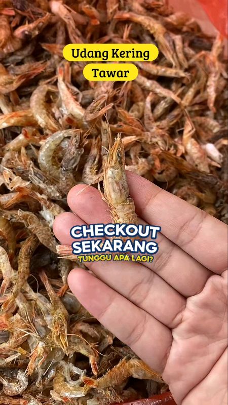 #udangkering #udangkeringelbarca #udangkeringpremium #udangkeringtawar #udangkeringpakanikanchana #pakanikan #ViralDiShopeeVideo #RacunShopee #fyp
