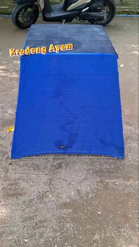 #krodongsangkar #krodongayam #krodongkurunganayam #kelambuantinyamuk #kelambuayam #ai #RacunShopee #SpillBawaBerkah #kandangayam #Kurunganayam #ayam