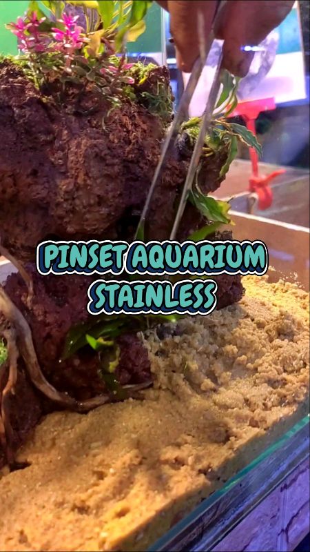Aquascape #pinset #pinsetstainless #aquarium #shopeevideofeed #highlighter #viral #ShopeeFashionHaul #ViralDiShopeeVideo
