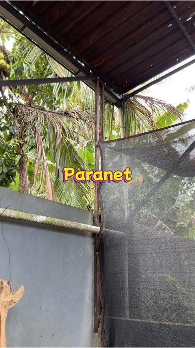 Jaring paranet murah #haringparanet #paranetmurah #RacunShopeeCheck #SpillRacunShopee #Diskon50Persen #SpillBawaBerkah #ShopeeCOD #paranetpeneduh
