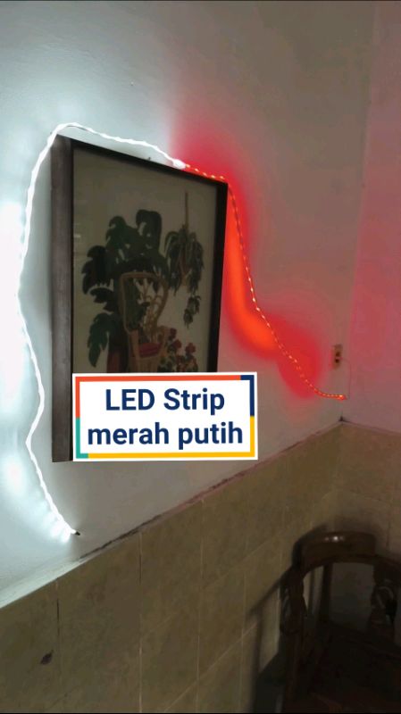 led strip merah putih #ledstrip #ledstriplights #ledstripmerahputih #ledstripmurah #RacunShopee #DiskonRacunShopee #ShopeeReview #ShopeeCOD #lampuled