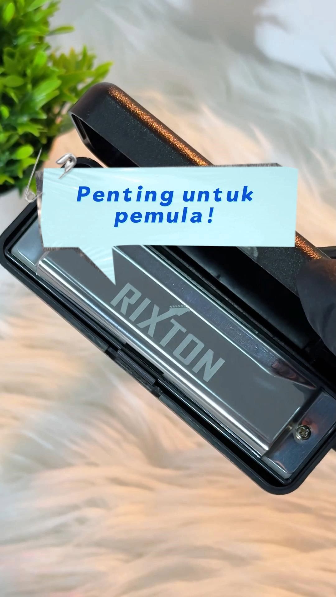 RIXTON  Harmonika C logam perak 10 lubang cocok