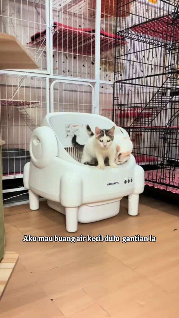 Bye sapu manual! 📱Satu klik APP kontrol litter box PAPIPETS. Wajib buat babu santai! #anabul #smartlitterbox #kucinglucu #pecintakucing