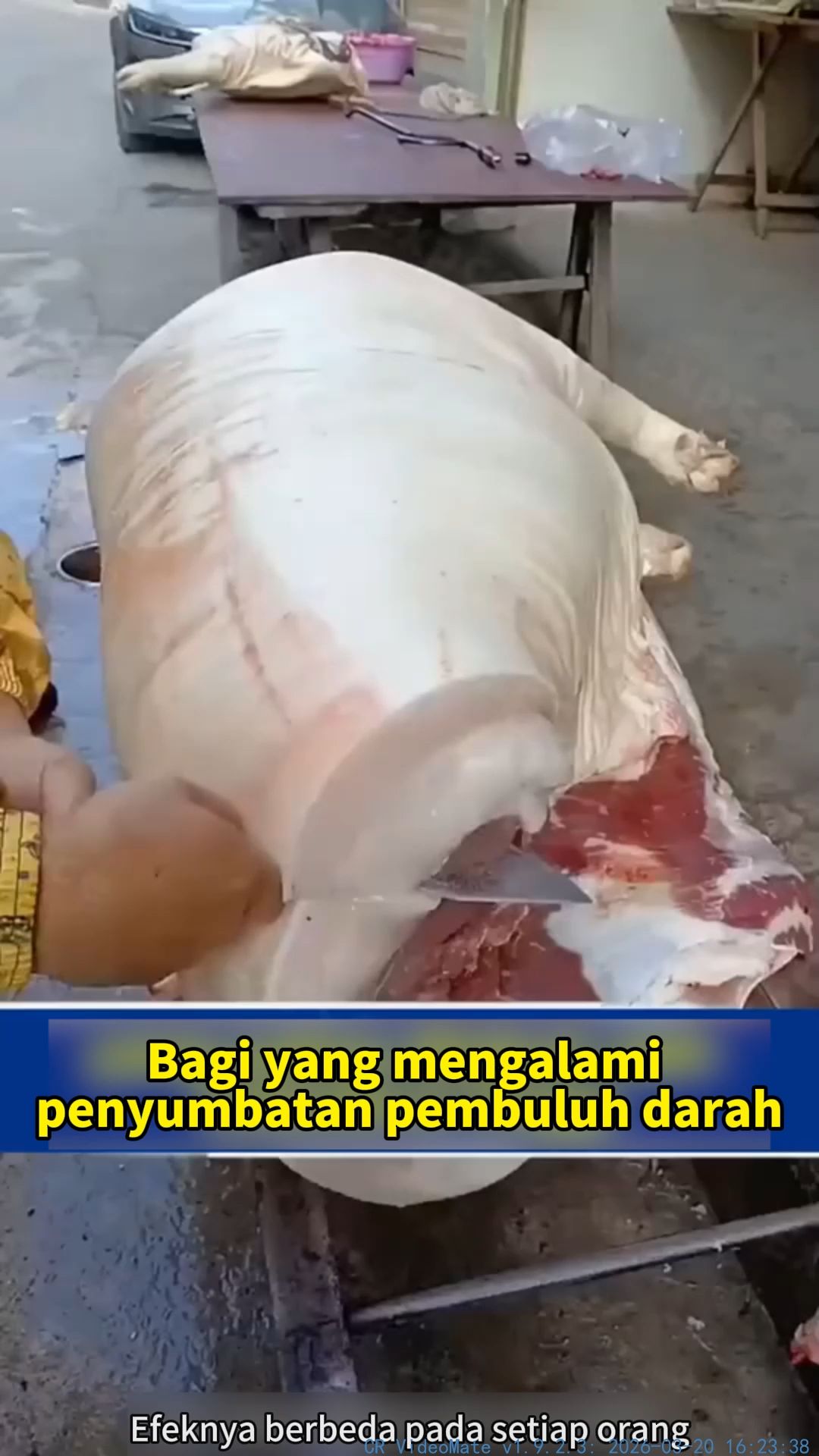 Kolesterol Tinggi?#kesehatanjantung #jantungsehat #tehherbal #tehsehat #jagajantungmu #tehdetoks #hidupsehat #produkterlaris