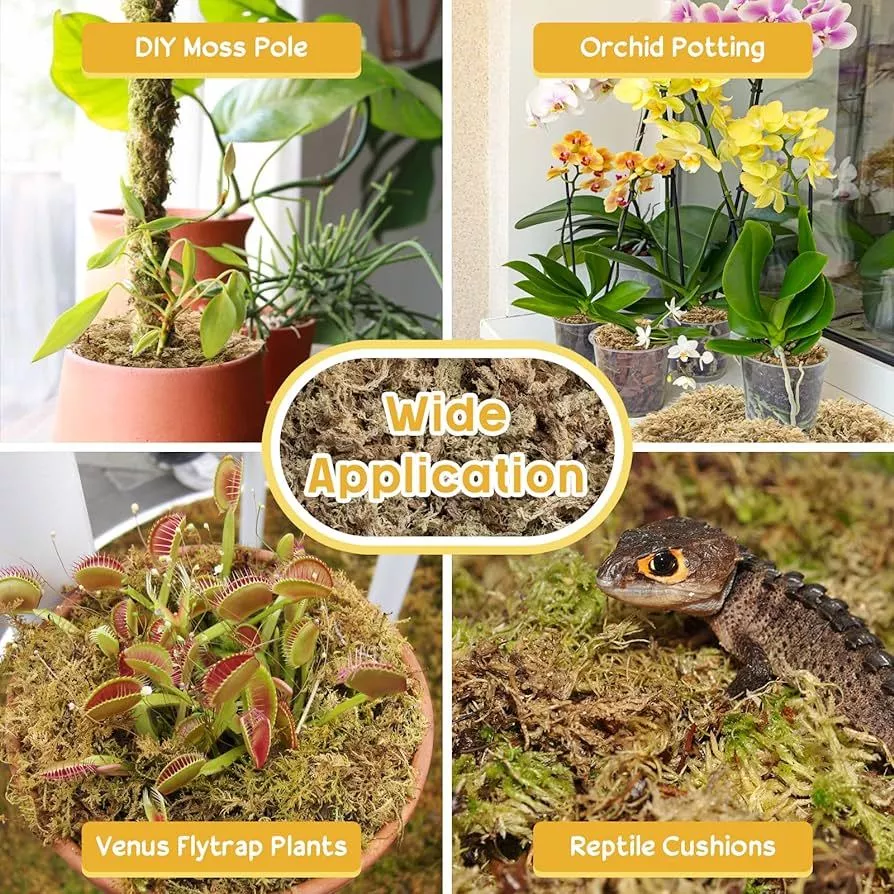 Substrate Paludarium