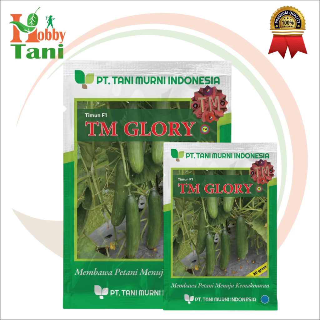 Bibit Timun F1 TM GLORY Benih Timun Hibrida 20gr - TANI MURNI