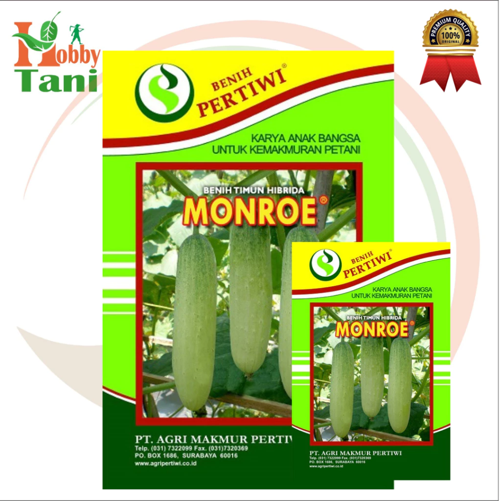 Benih Timun F1 MONROE 25gram | Benih Timun Hibrida PERTIWI