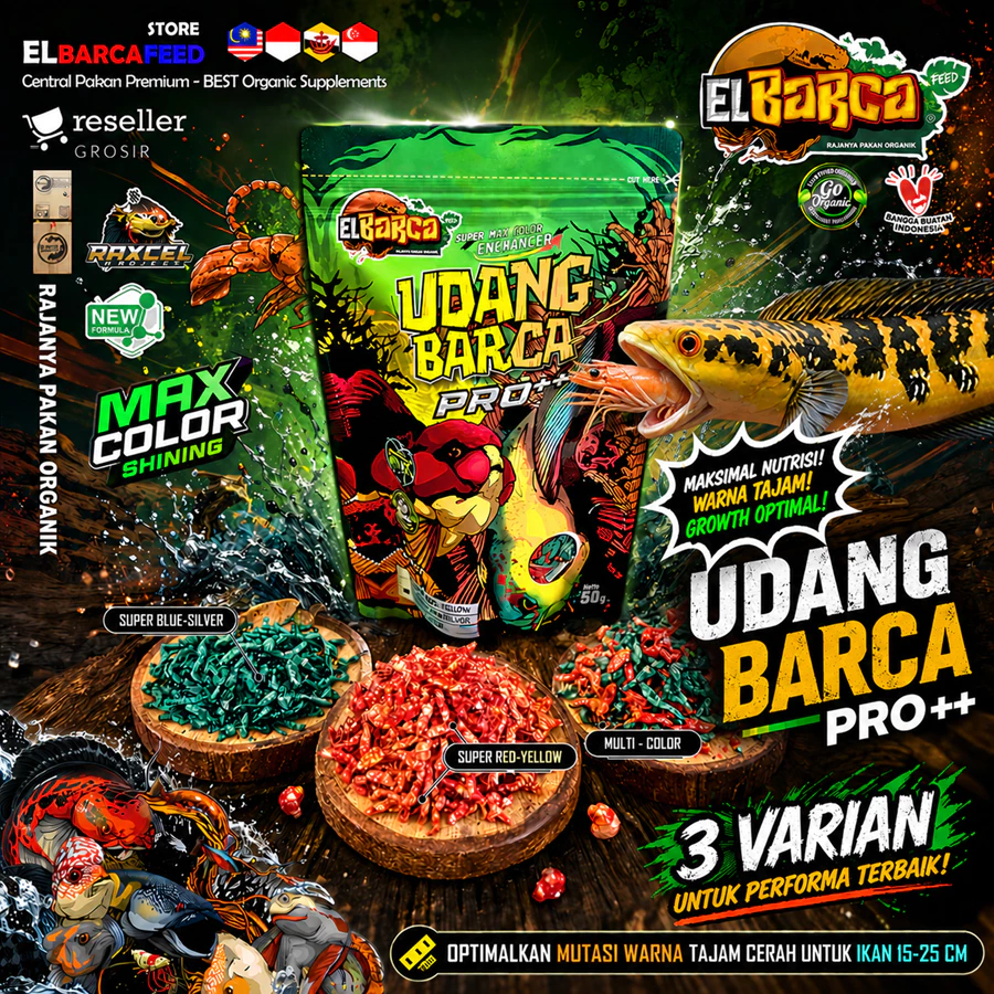 Pakan Ikan Predator