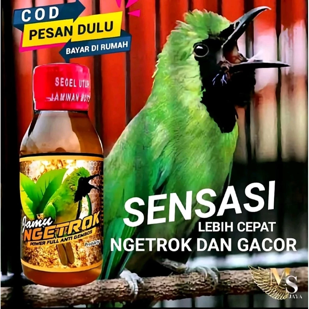 Jamu Ngetrok Cucak Ijo