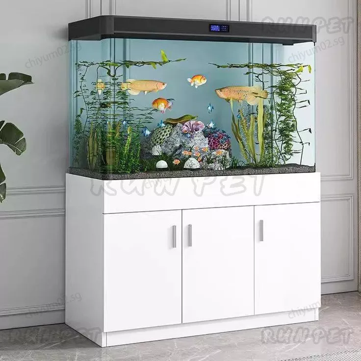Aquarium Besar untuk Ikan Predator