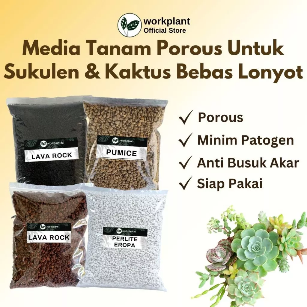 Workplant - Media Tanam Sukulen  Pasir Malang Perlite Pumice Porous Untuk Tanaman Sukulen Kaktus Bebas Busuk Akar Bebas Lonyot Sudah Bersih Siap Pakai