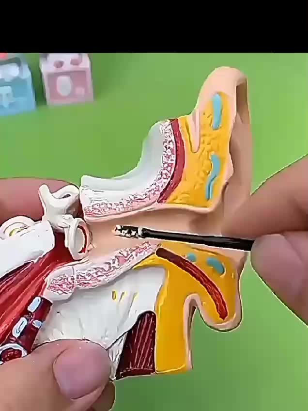 link belanja di atas 👆