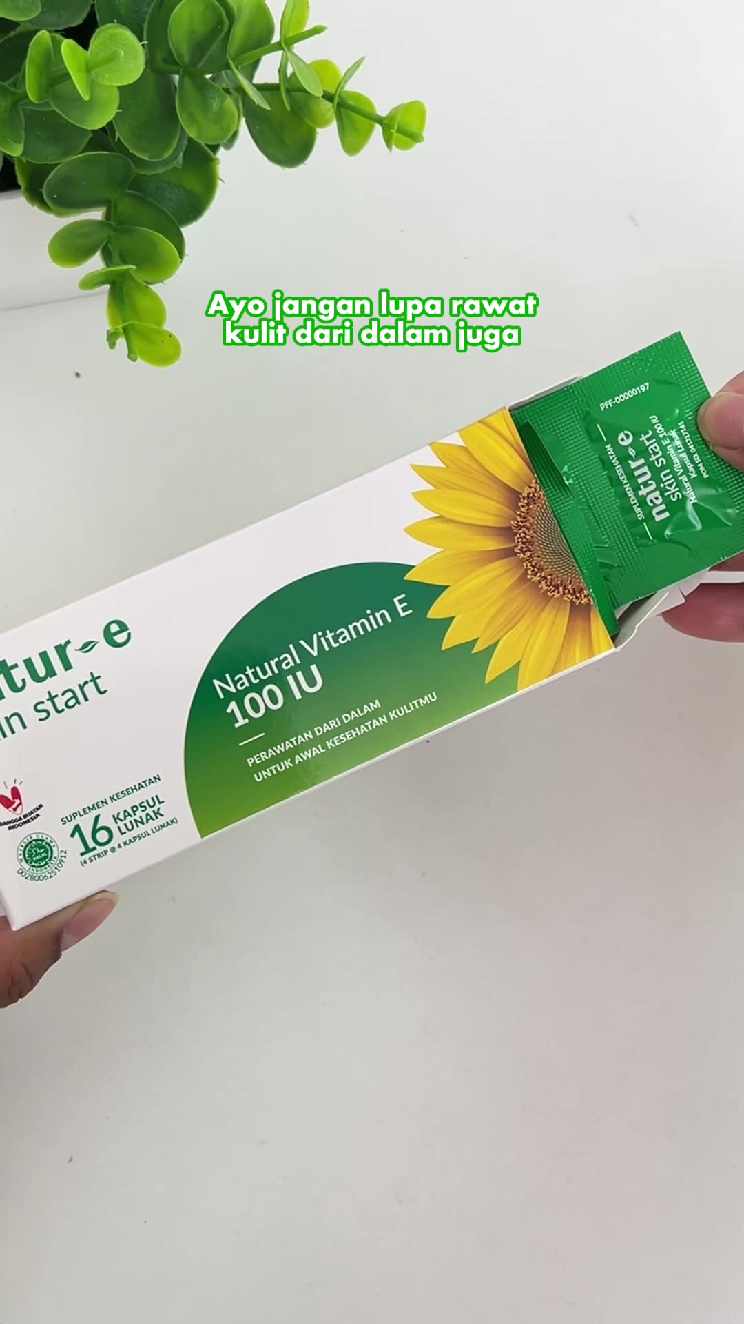 link belanja di atas 👆