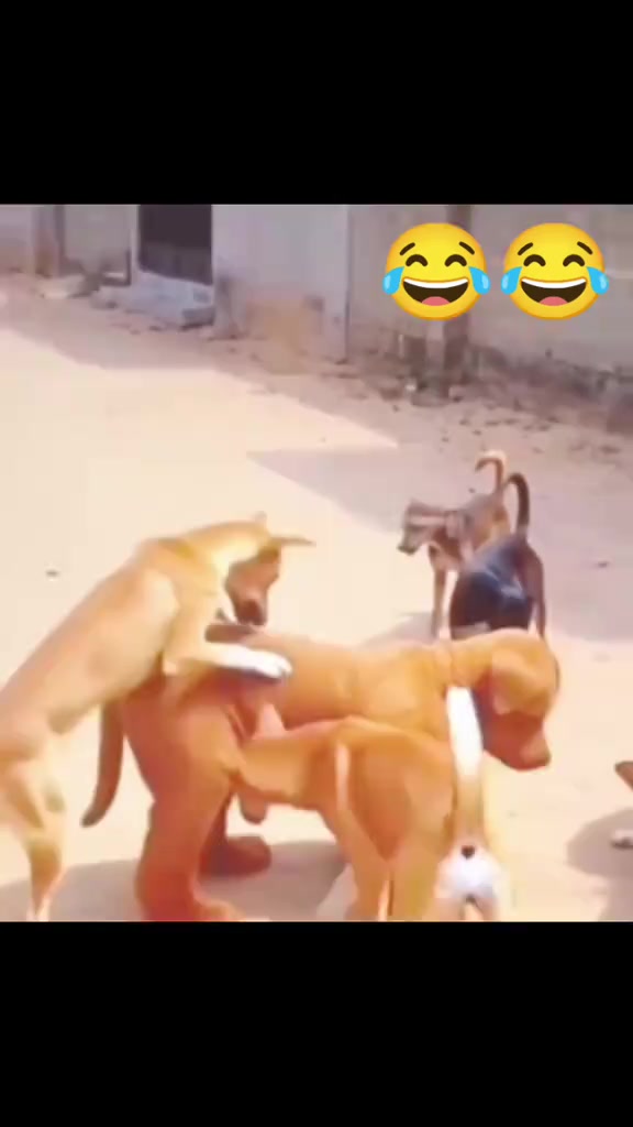 #VideoLucuNgakak #viral #foryou #fypage #funny