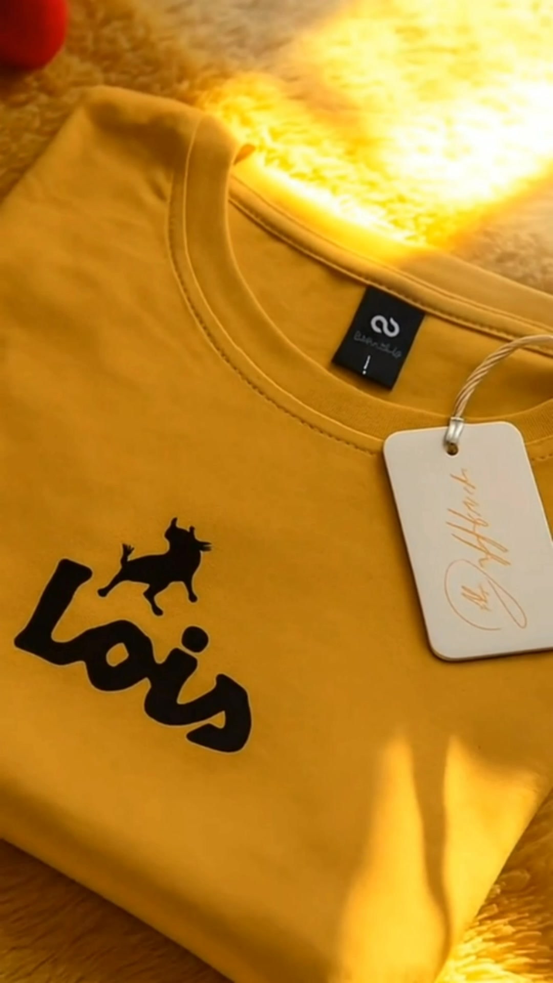 kaos pria distro original lois t-shirt lengan pendek #kaos #RacunShopee #shopeevideo