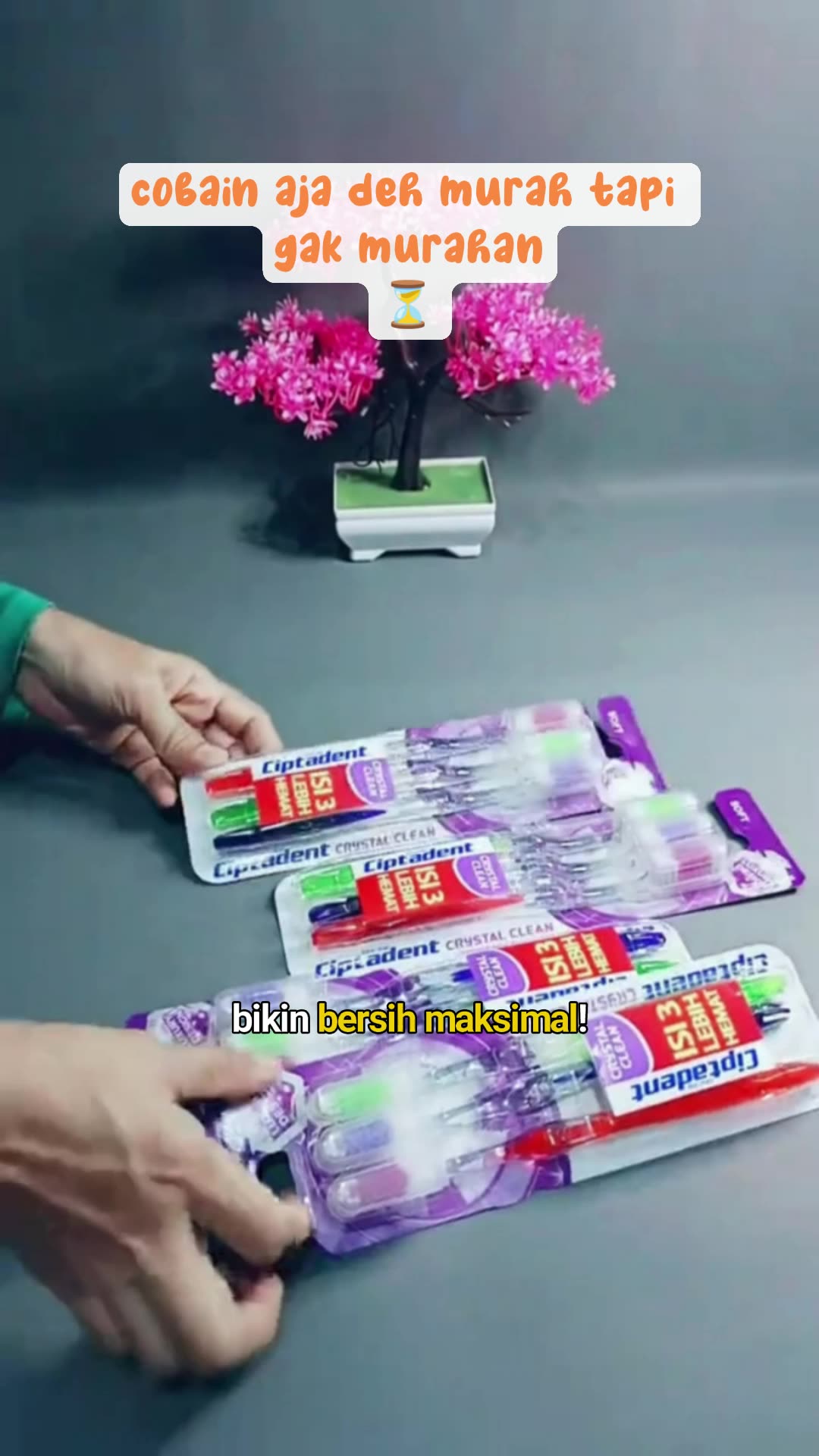 sikat gigi 6 pcs cuma 10 ribuan #RacunShopee #SpillRacunShopee #DiskonRacunShopee #sikatgigi #ciptadent