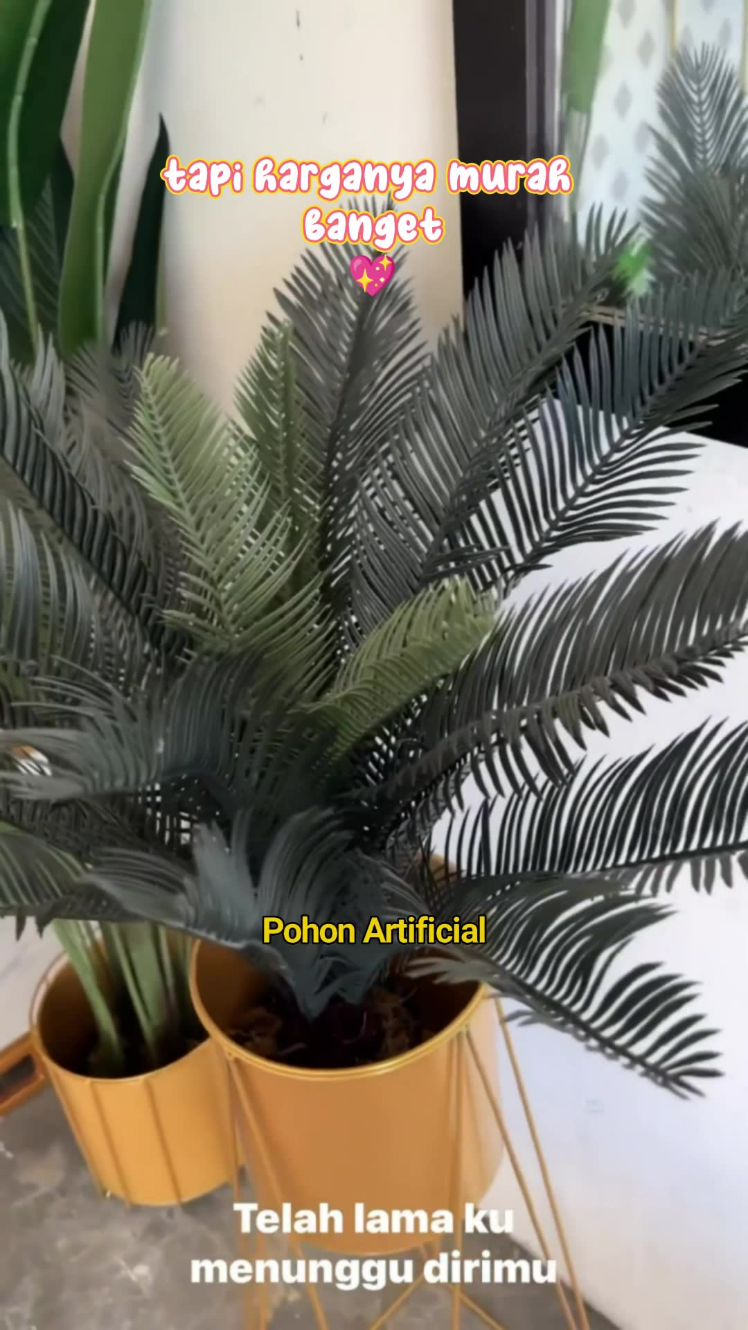 pohon sikas palsu #RacunShopee #SpillRacunShopee #shopeevideo