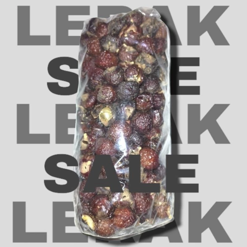 biji lerak
